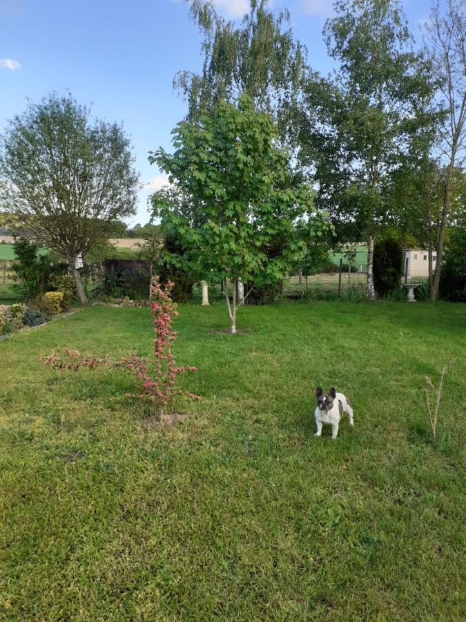 Homestay Chez Habitant Avec Petit Dejeuner Bouloire
